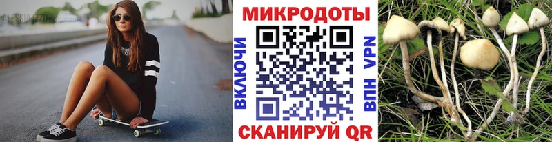 Галлюциногенные грибы Psilocybe  Байкальск 